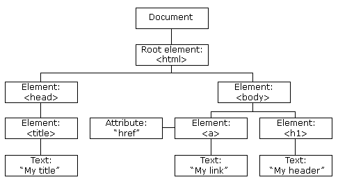 Visual interpretation of the dom